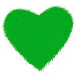 Das grüne Herz