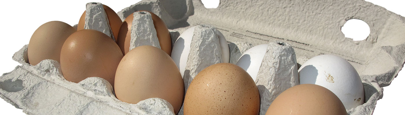Typische 10er Eierverpackung
