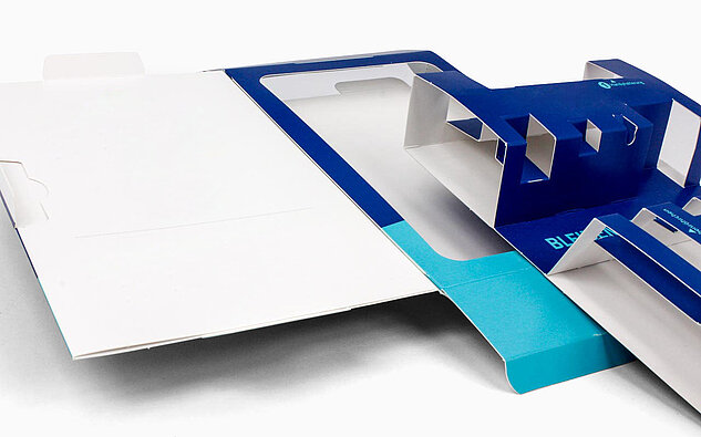 Inlay einer Selbsttest -Verpackung