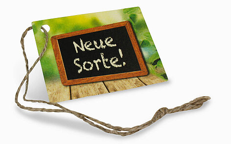 Anhängeetikett mit Naturkordel